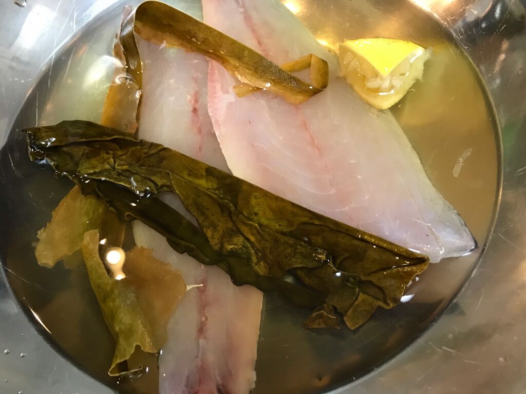 初のお魚 ツバメコノシロを喰らう 魚喰い