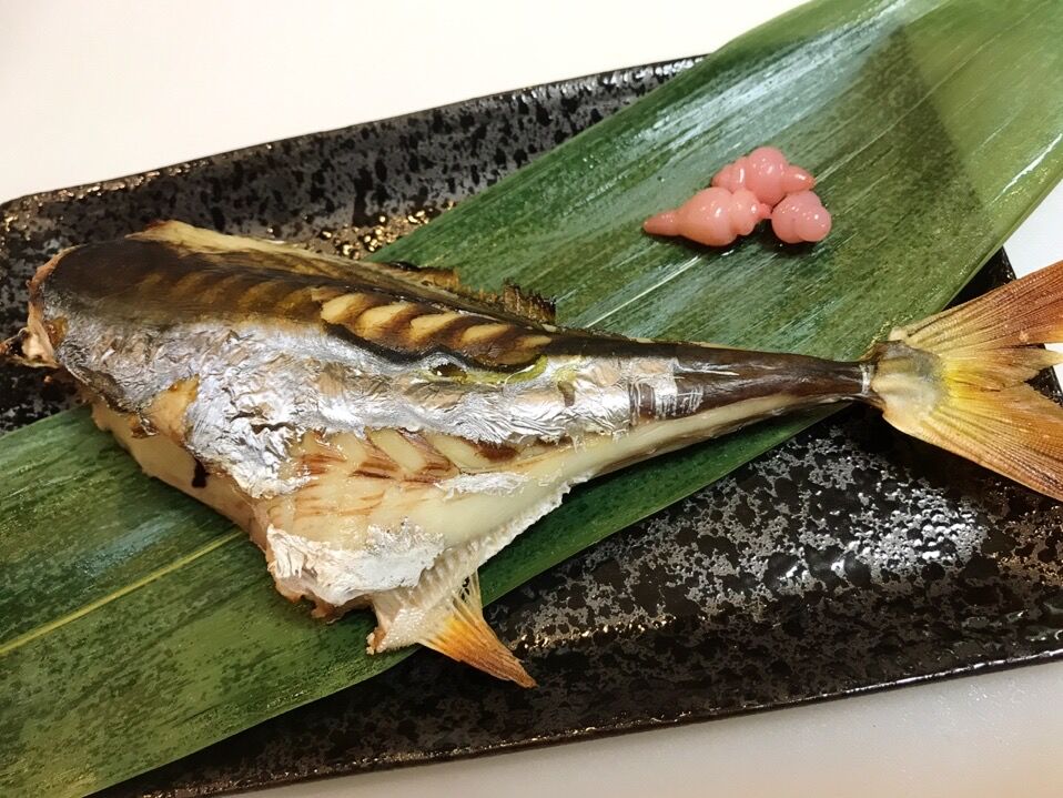 キテレツなギマをガッツリ喰らう 魚喰い