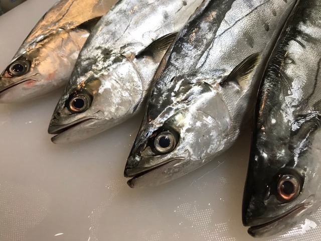 イケてる魚 魚喰い
