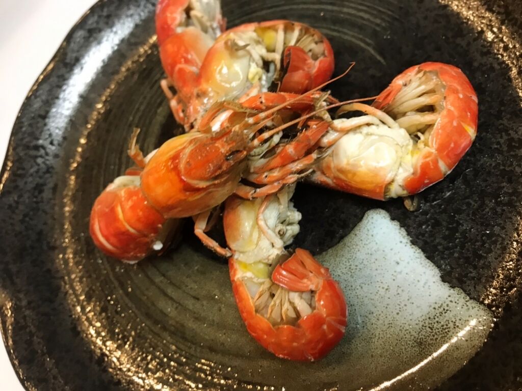 珍 マジャクを喰らう 魚喰い 珍 マジャクを喰らう 魚喰い