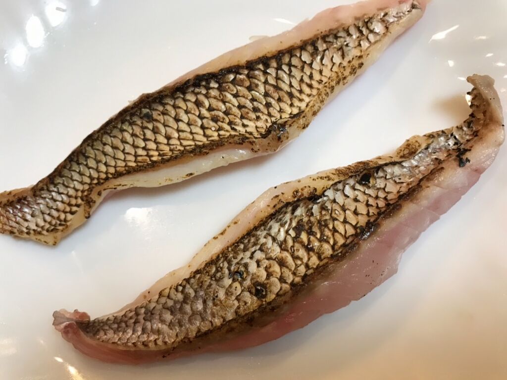 閲覧注意！タイノエを喰らう！ : 魚喰い