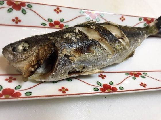 家寿司晩酌 タカベ 魚喰い