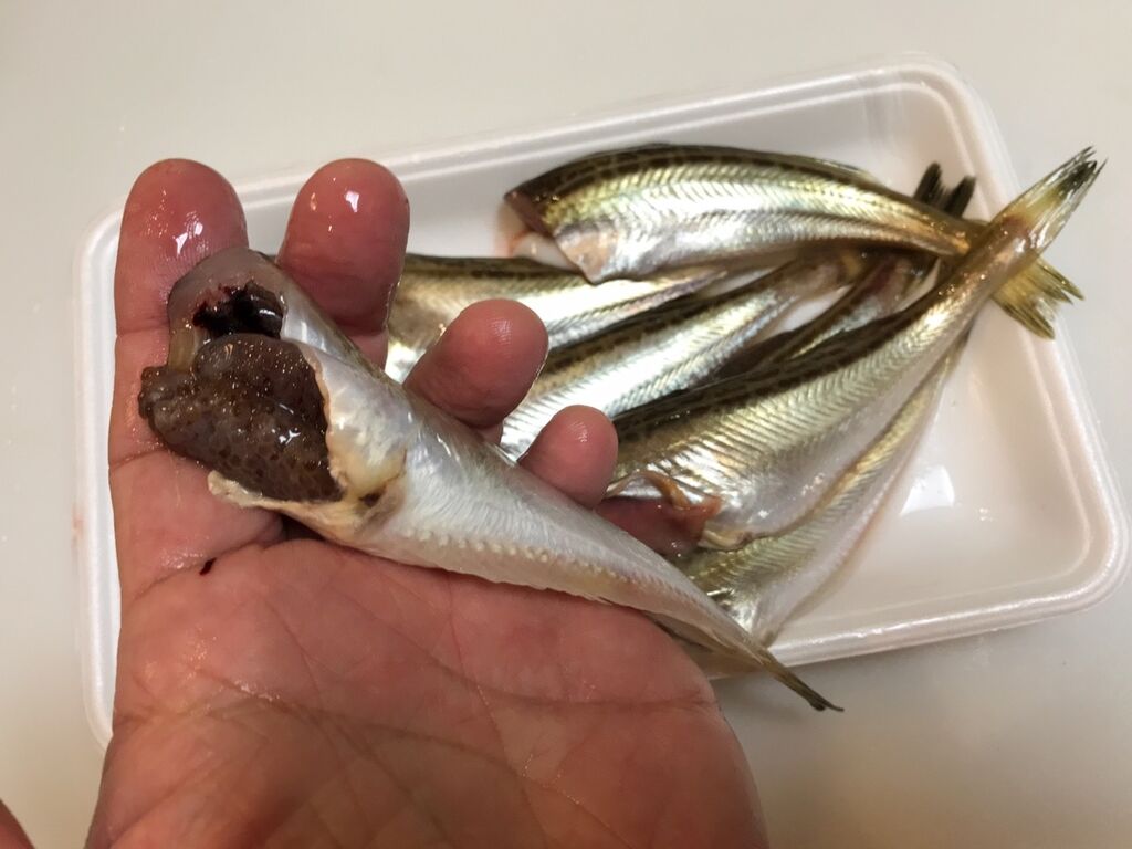 ホウボウのサラダ風甘酢あんかけ 魚喰い ホウボウのサラダ風甘酢あんかけ 魚喰い
