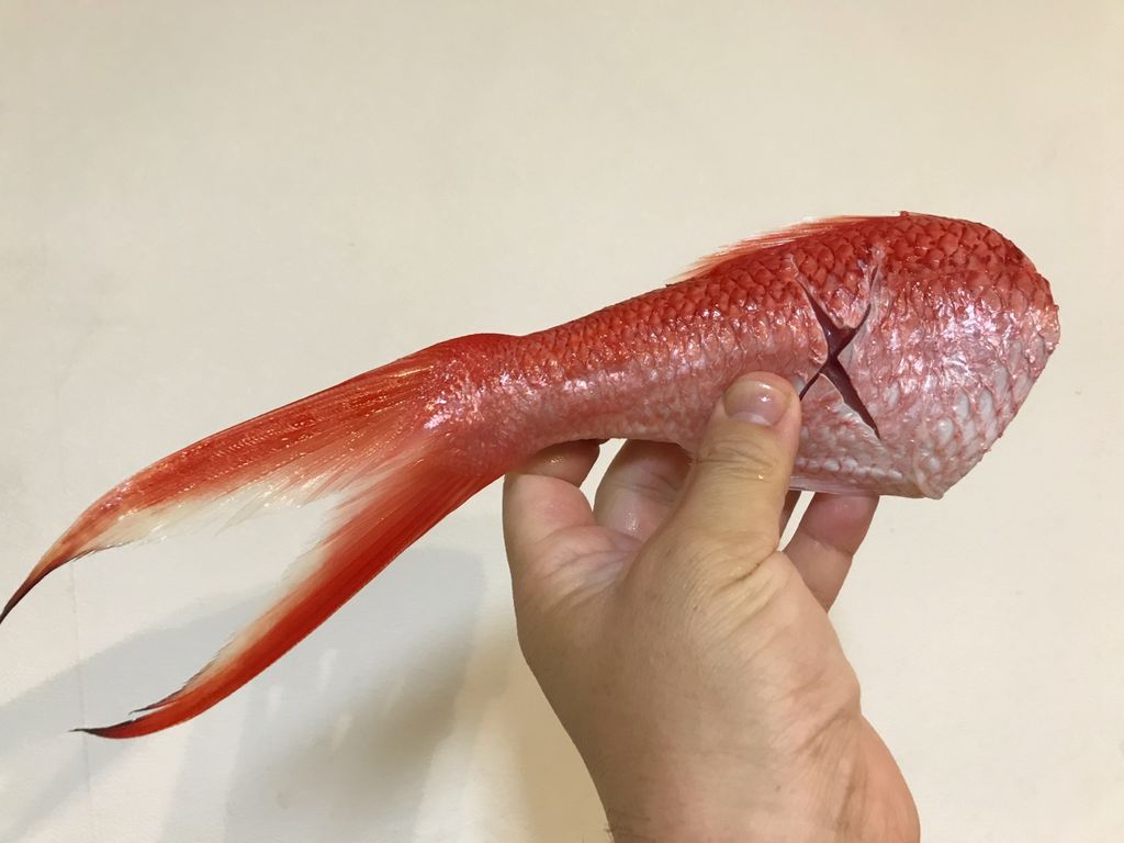 沖縄三大高級魚でズッパディペッシェ 魚喰い 沖縄三大高級魚でズッパディペッシェ 魚喰い