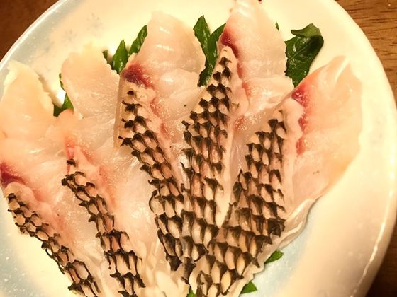 17年09月 魚喰い 17年09月 魚喰い