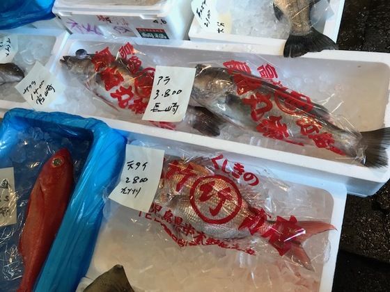 巨大天然クエのカマ 魚喰い 巨大天然クエのカマ 魚喰い