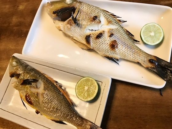 １１種類の沖縄魚を喰らう 魚喰い