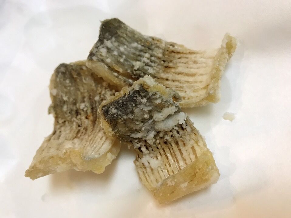 久々のヒラ 魚喰い
