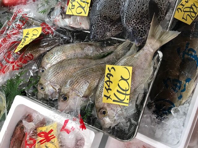 お正月のタイは何にする 魚喰い