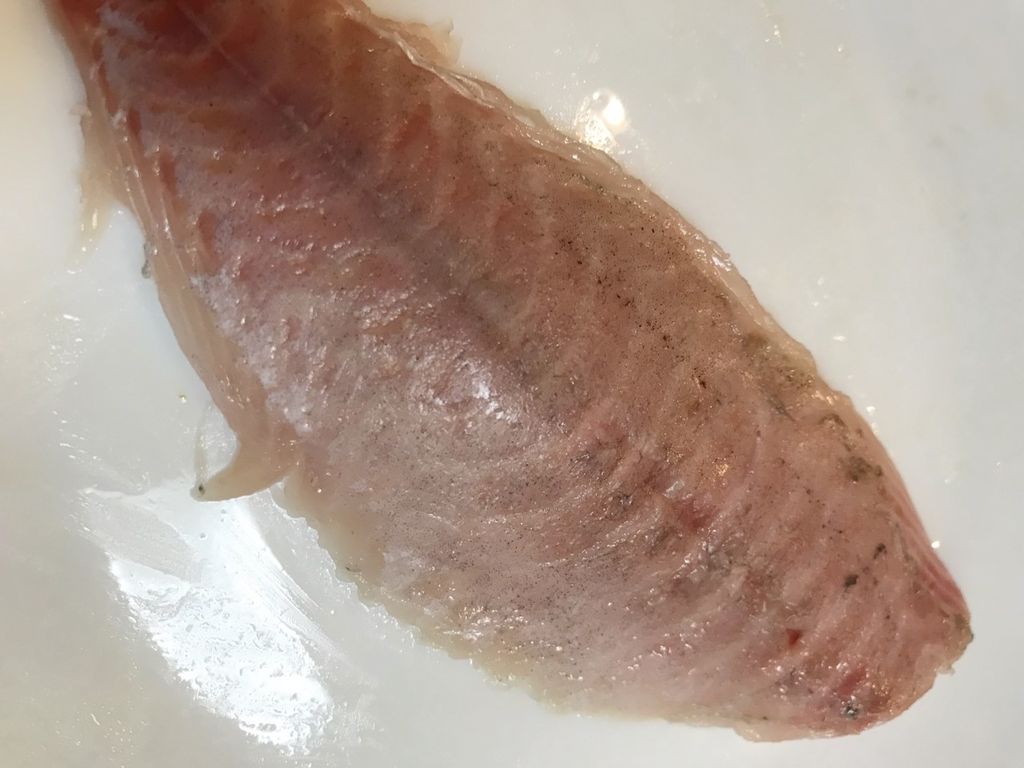 家寿司晩酌 タカベ 魚喰い 家寿司晩酌 タカベ 魚喰い