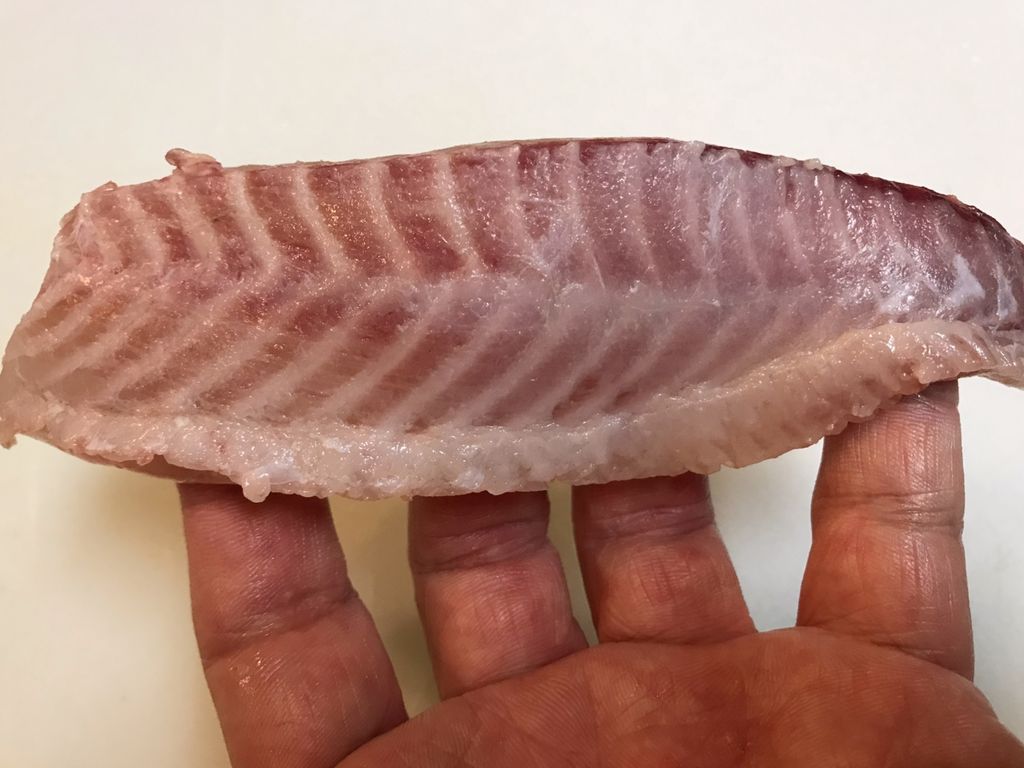角上魚類 魚喰い 角上魚類 魚喰い