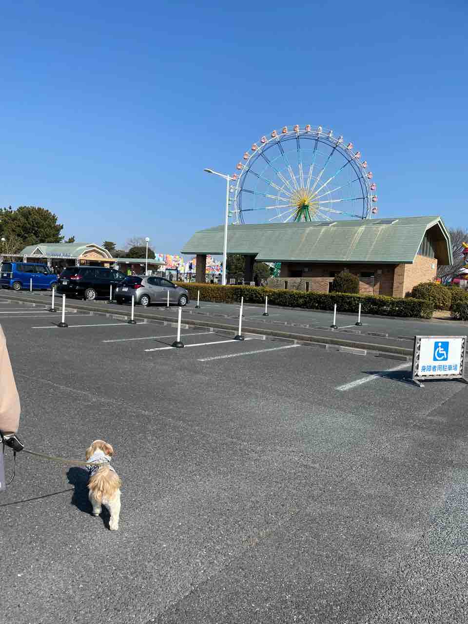 茨城県 国営ひたち海浜公園へ Hide San 色々日記