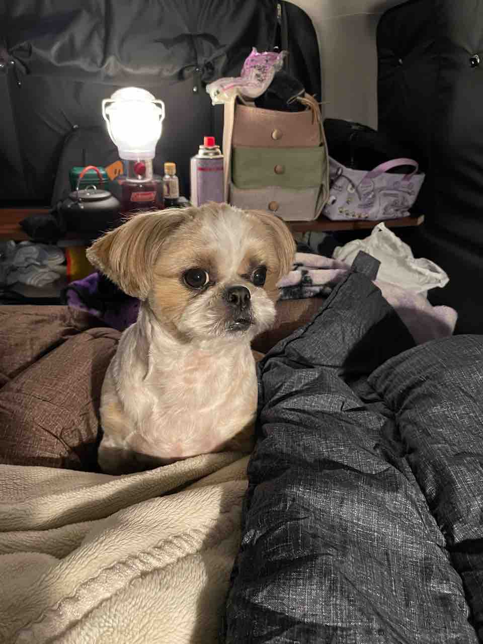 静岡県で車中泊！令和5年、初日の出！ : Hide san 色々日記