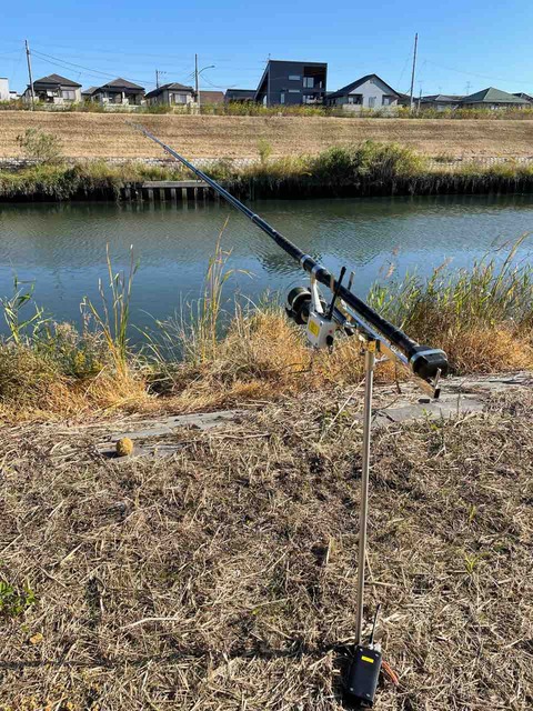 鯉釣り釣行 新芝川 Hide San 色々日記