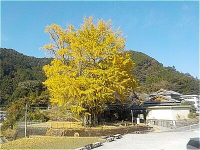 s-592222151_2353295948451742_6293813317028141795_n