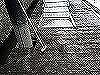 DSCN5486