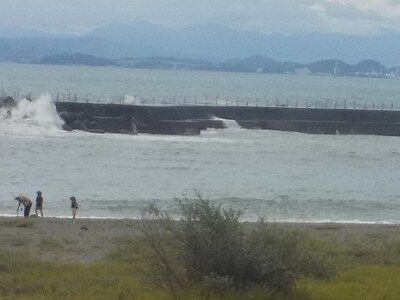 s-561900947_2307102576404413_2741152562057511557_n