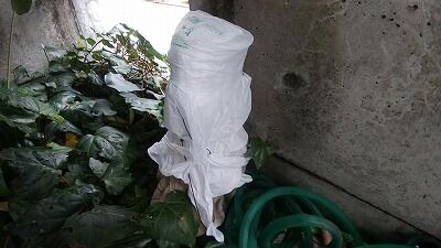 ビニール袋3重に巻く