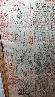 346086897_541552224833085_5107548322890870424_n