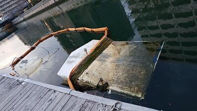 277109067_1393854374395909_1327777611262316972_n