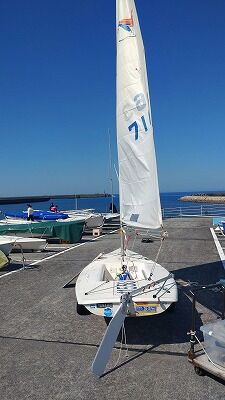 441655274_1902924823488859_2028666637066855131_n