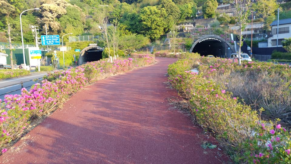 95369856_911804655934219_2809386143227838464_n