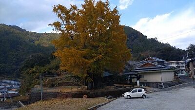 405870158_1798536913927651_6215681453021583066_n