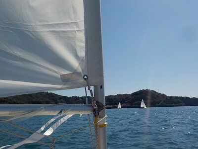 245055756_1285768855204462_2267998096380585115_n