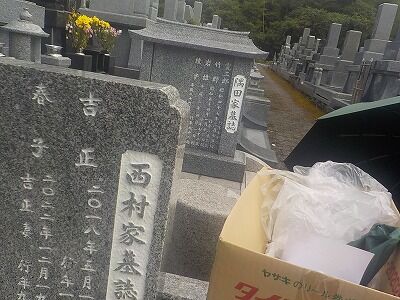 462158757_2003256446789029_4814078306309850351_n