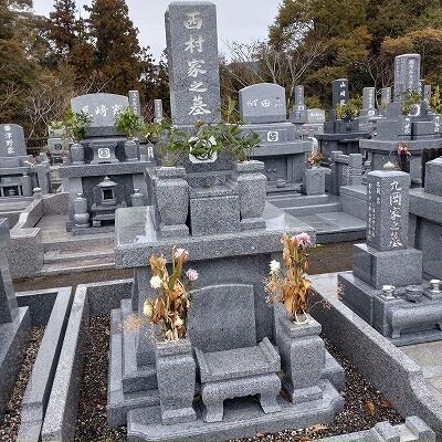 326378600_3409390822671883_4295273407625347967_n