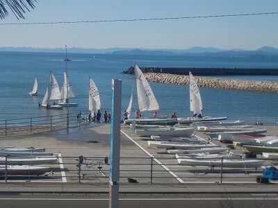 高知大学ヨット部