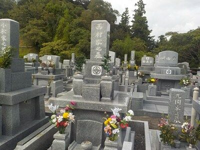 s-555459450_2292205127894158_4681441685820630125_n