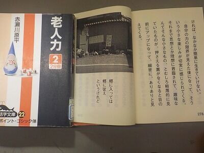 476168492_2093515574429782_1173227670887087142_n - コピー