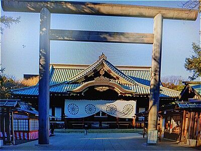 s-571152521_2318159468632057_7804147172627384742_n