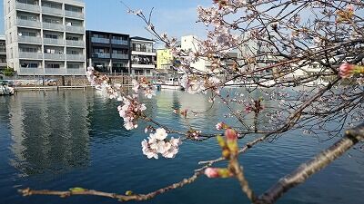 277255657_1397065067408173_5967138857310822844_n - コピー