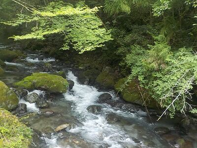 451841035_1941956676252340_1404754749939734217_n