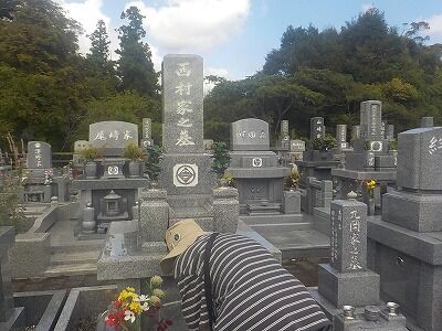 462308083_2003256453455695_7804567726383729451_n