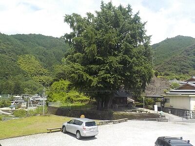 451599373_1941928796255128_8283256369205897676_n