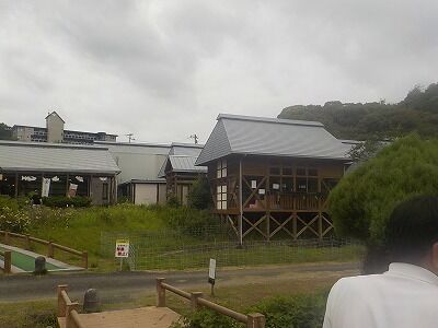 509424726_2207287449719260_1259567026205340186_n