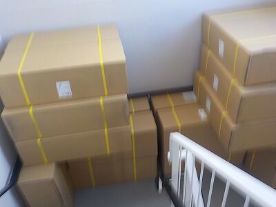 段ボールベット