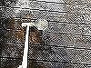 DSCN5485