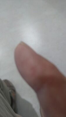 450238546_1936052596842748_5478941943784973208_n