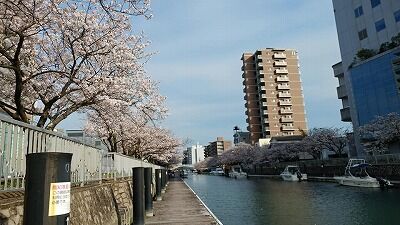 277561203_1397065240741489_5903960538079151270_n - コピー