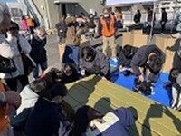 s-段ボールベット