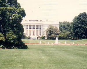 w-h1988