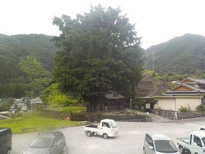 s-518190195_2222445401536798_9032535524514568906_n