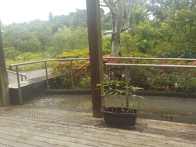 509424610_2207287396385932_3162418461089689363_n