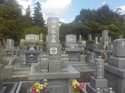 462190613_2003256526789021_7605132234047041336_n