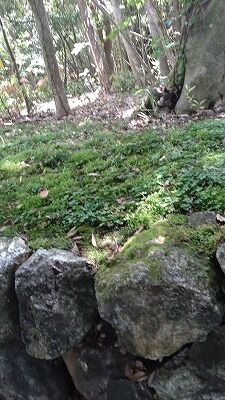 346061516_268526595648285_2396061236069726127_n