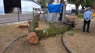 387733916_1772378936543449_1141498623328414685_n